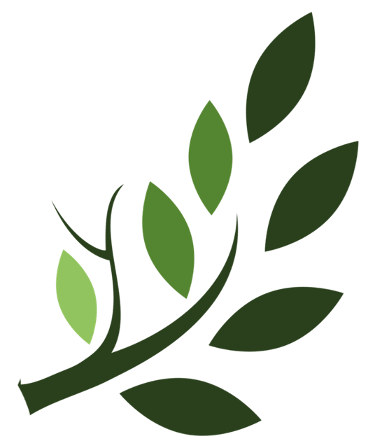 Zweig mit Blaettern aus dem Logo der HeilKraftOase